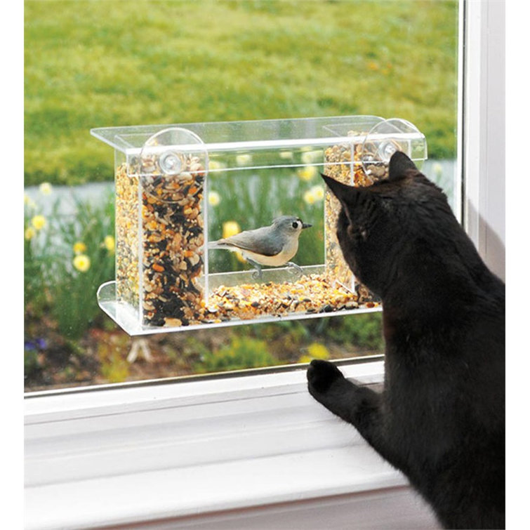 Wind & Weather OneWay Window Tray Bird Feeder & Reviews Wayfair